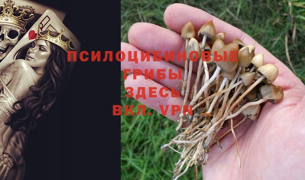 mix Новокубанск