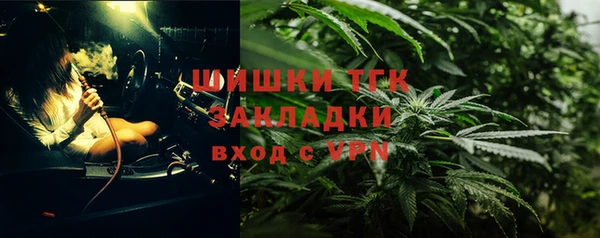 гидра Няндома