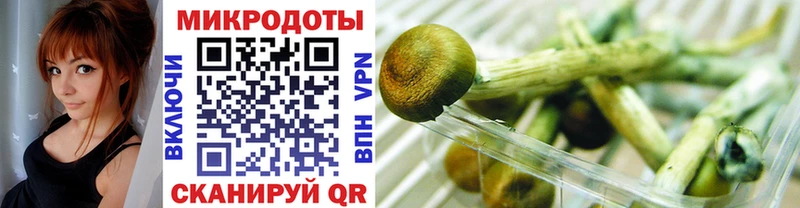 Галлюциногенные грибы Cubensis  где купить наркотик  Карабаш 