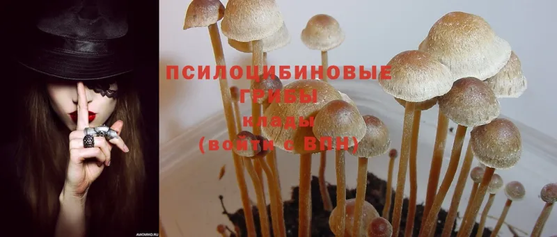 KRAKEN как войти  Карабаш  Галлюциногенные грибы MAGIC MUSHROOMS  купить наркотики сайты 